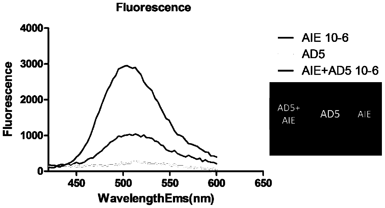 Fast labeling and tracking method of recombinant human adenovirus type 5