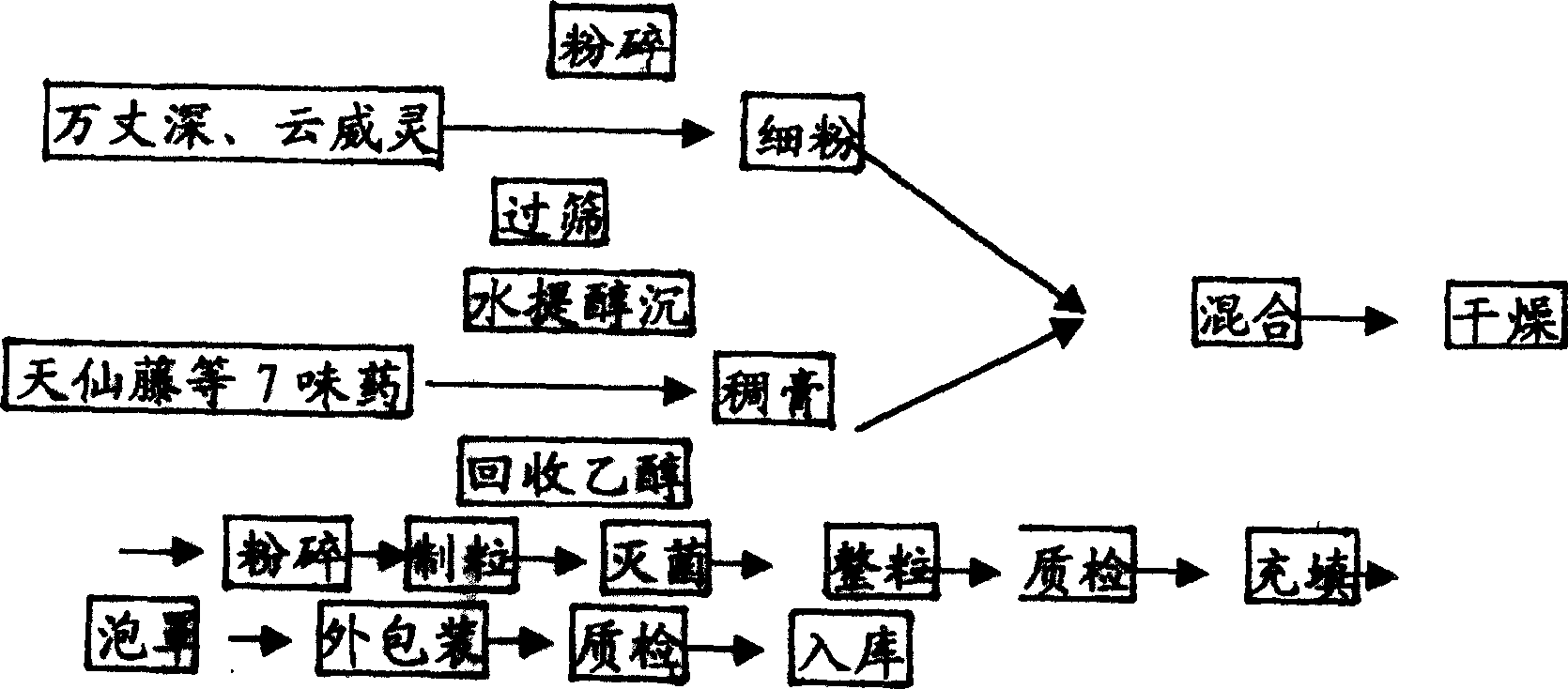 Medicine for treating obstructive pain caused by wind-dampness and other kinds of pain