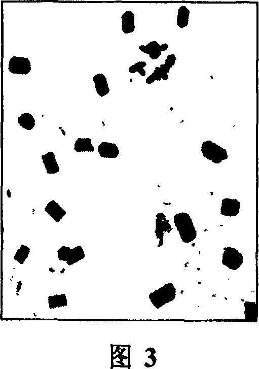 Preparation method of nanometer zinc oxide