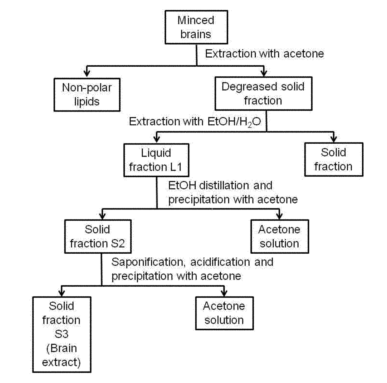 Process for preparing an animal brain extract