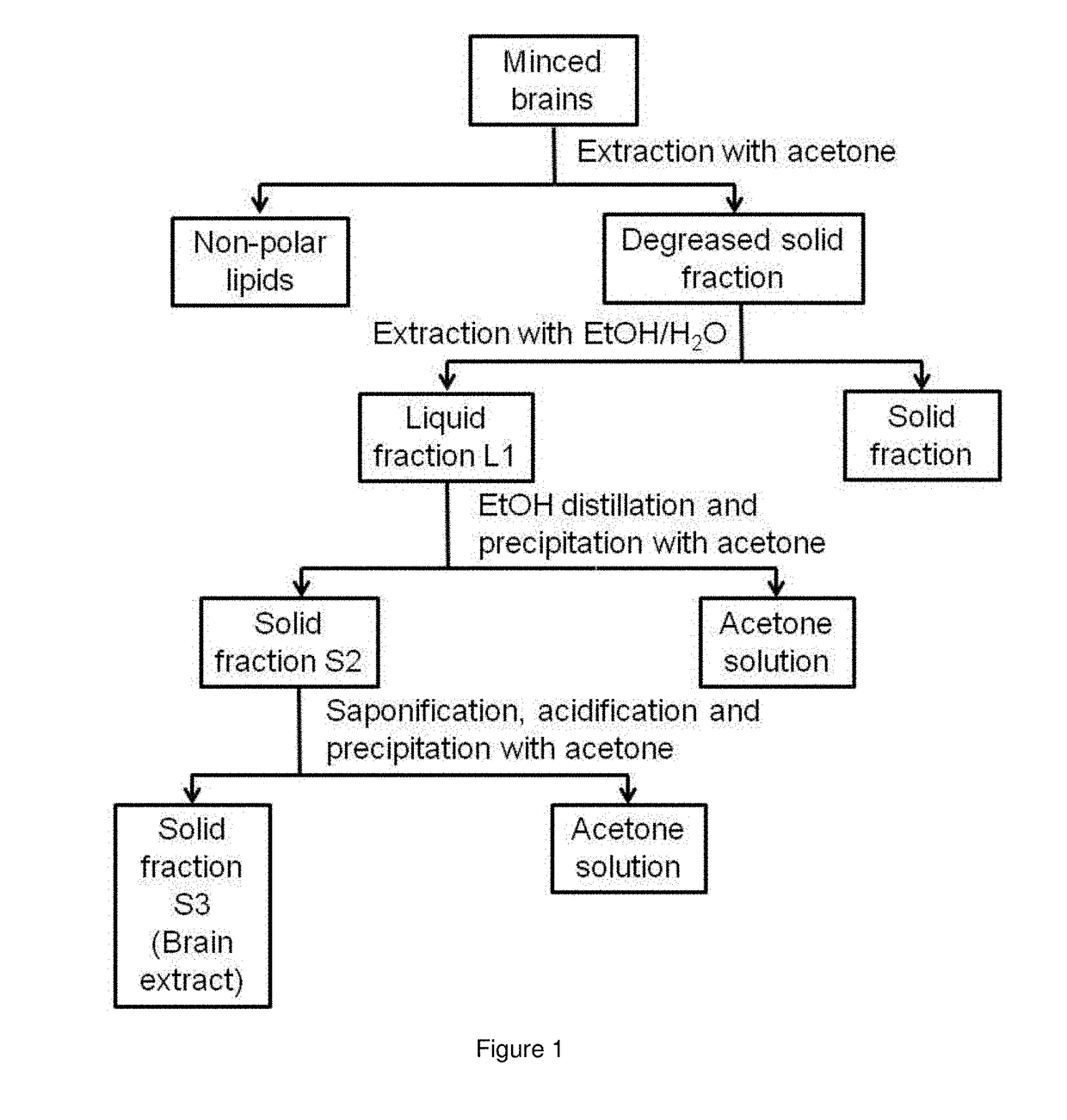 Process for preparing an animal brain extract