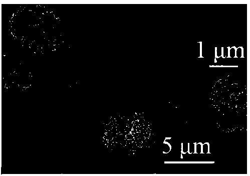 A preparation method of flower-shaped cuo microspheres and its application in formaldehyde gas sensor