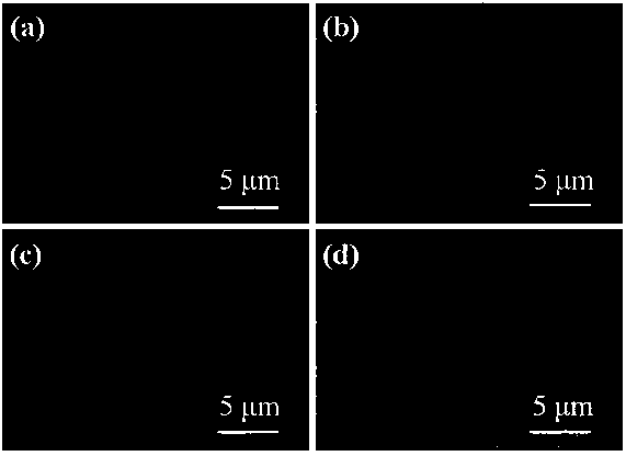 A preparation method of flower-shaped cuo microspheres and its application in formaldehyde gas sensor