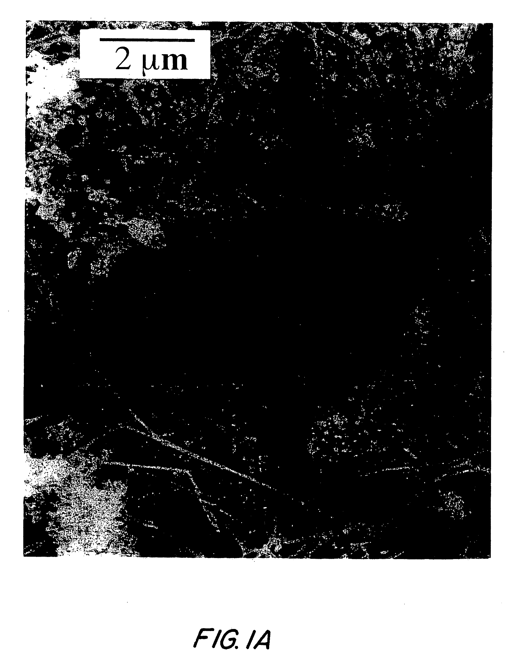 Carbon nanostructures and methods of preparation