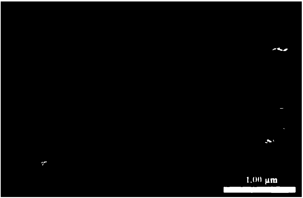 Lithium ion battery silicon-tin composite negative electrode material and preparation method thereof