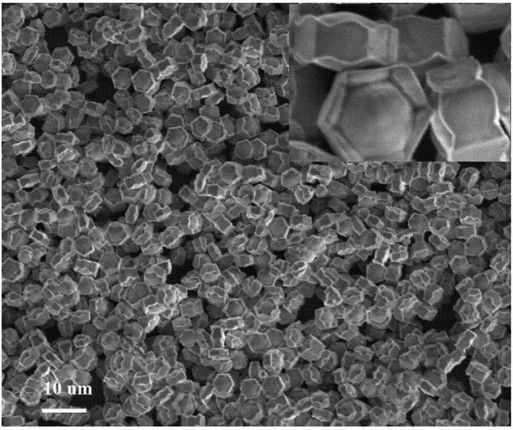Ytterbium/thulium ion co-doped hexagonal sodium fluoride yttrium microcrystals with directional emission properties of red light