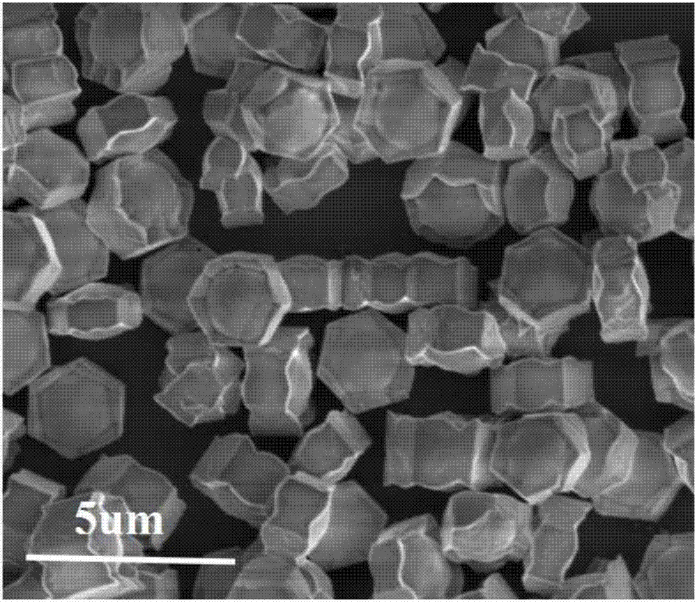 Ytterbium/thulium ion co-doped hexagonal sodium fluoride yttrium microcrystals with directional emission properties of red light