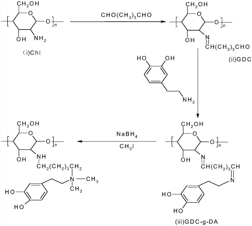 Dopamine-modified chitosan flocculant