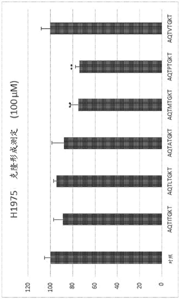 Novel oligopeptide, and pharmaceutical composition for preventing or treating cancer, comprising same as active ingredient