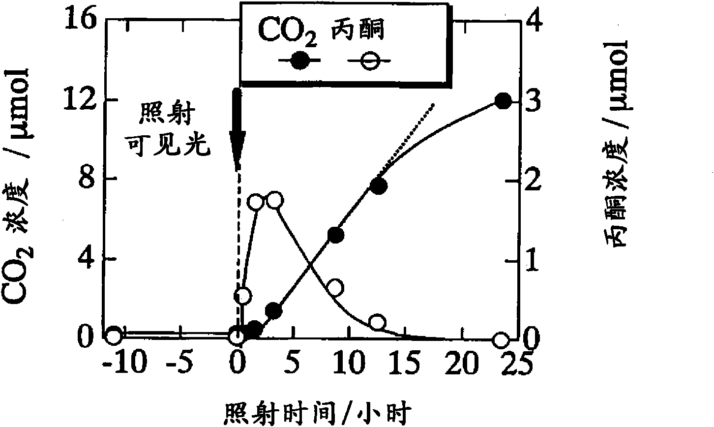 Photocatalyst material, method for decomposition of organic material, interior member, air purification device, and apparatus for preparation of oxidizing agent