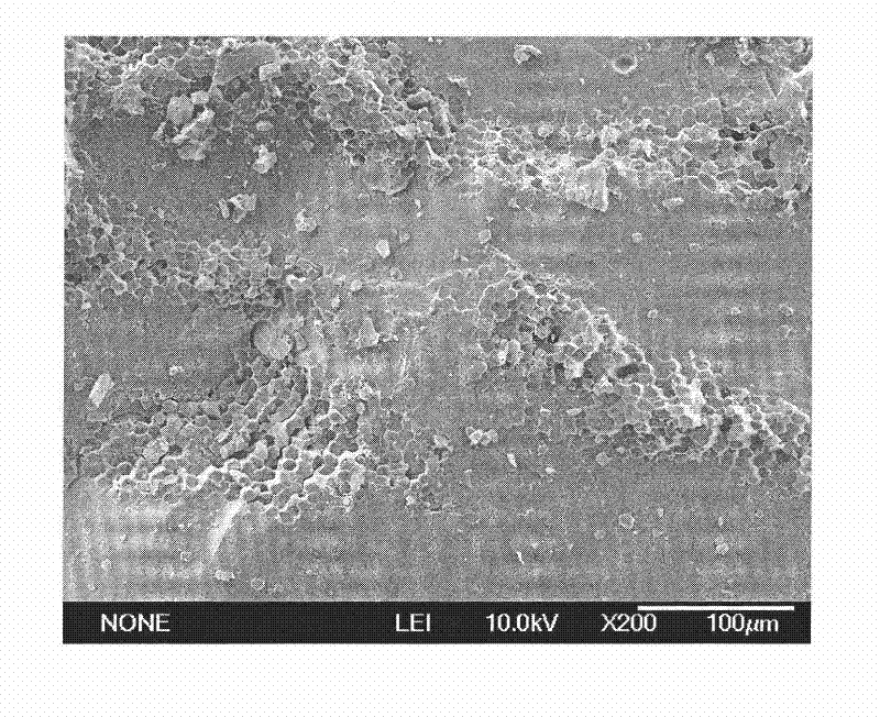 Fiber composite material with microwave absorbing function and preparation method thereof