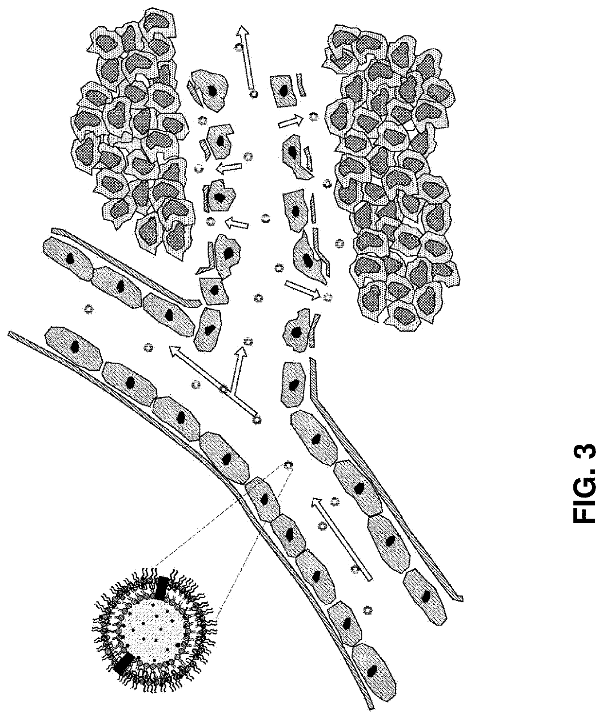 Exosome-based nanoparticle composite and method for preparing the same