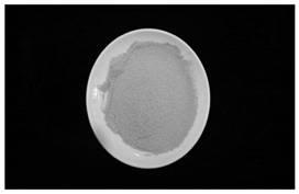 Primary-color high-quality chestnut powder and preparation method thereof
