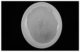 Primary-color high-quality chestnut powder and preparation method thereof