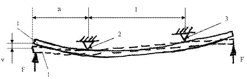 Vehicle with a leaf spring element for the spring suspension of the vehicle