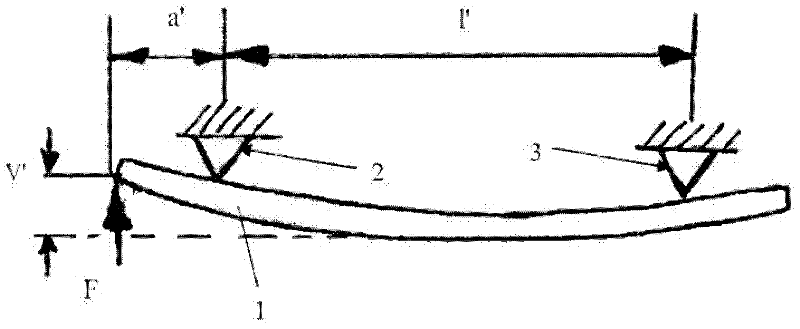 Vehicle with a leaf spring element for the spring suspension of the vehicle