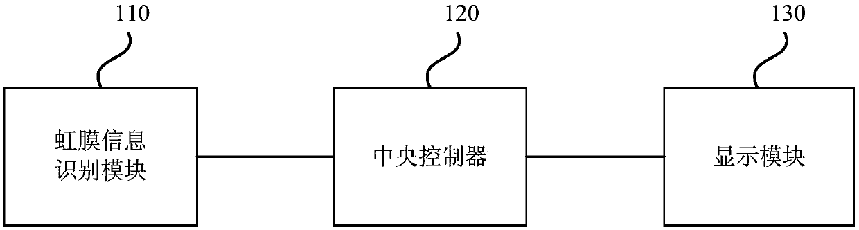 Identity identification system, method and device