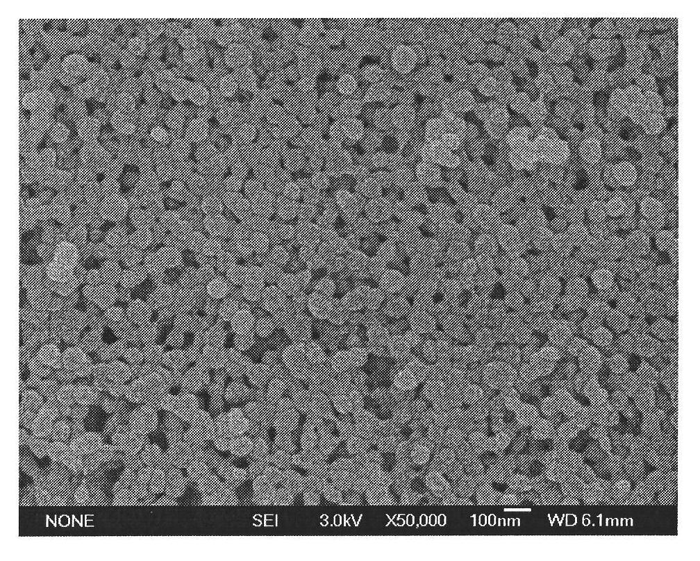 Salbutamol molecularly imprinted polymer and preparation method thereof