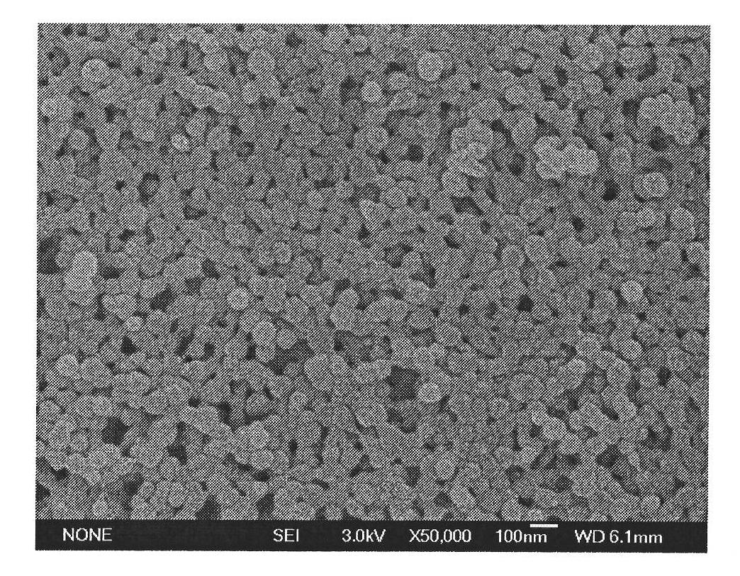 Salbutamol molecularly imprinted polymer and preparation method thereof