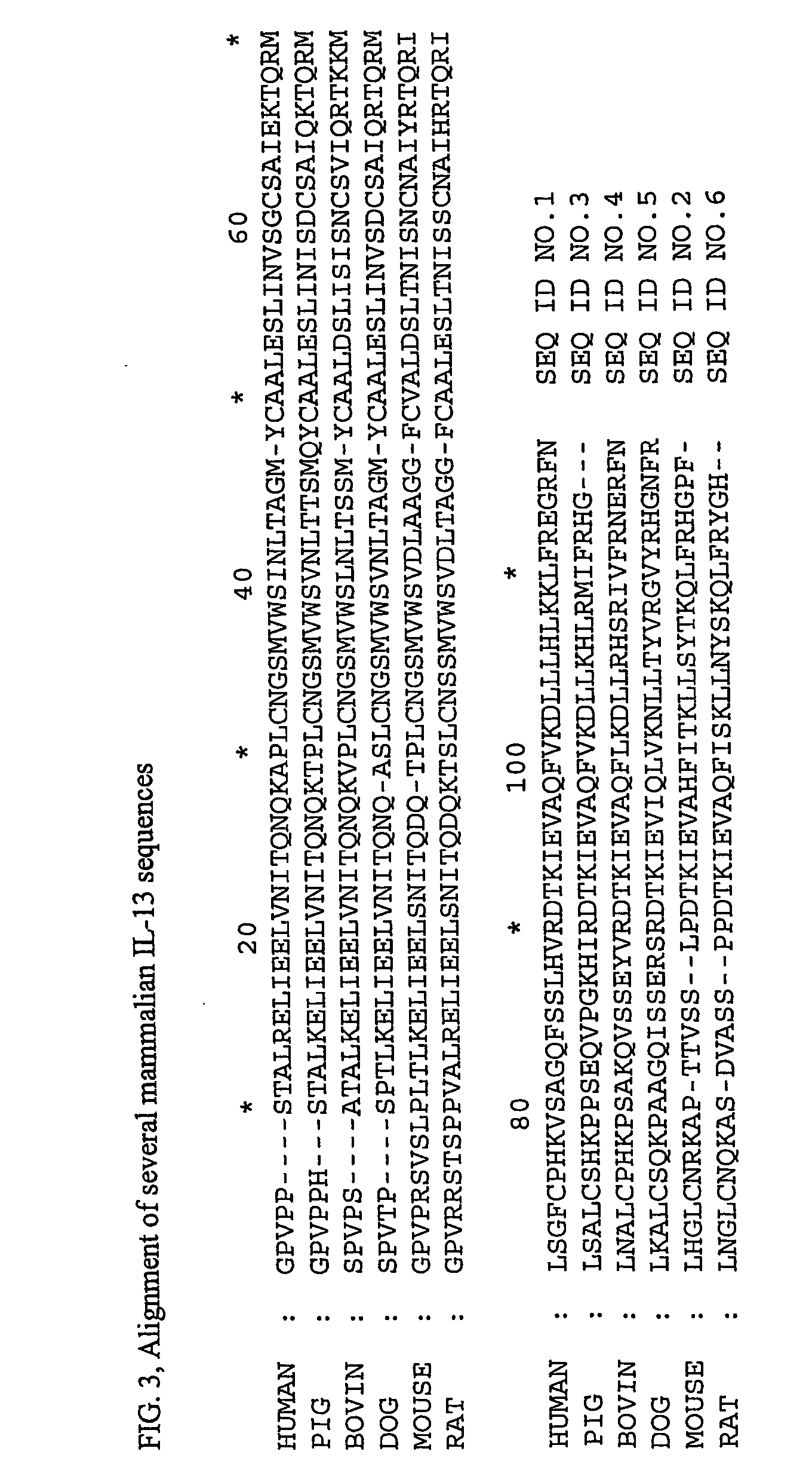 Immunogenic composition comprising an il-13 element and t cell epitopes, and its therapeutic use