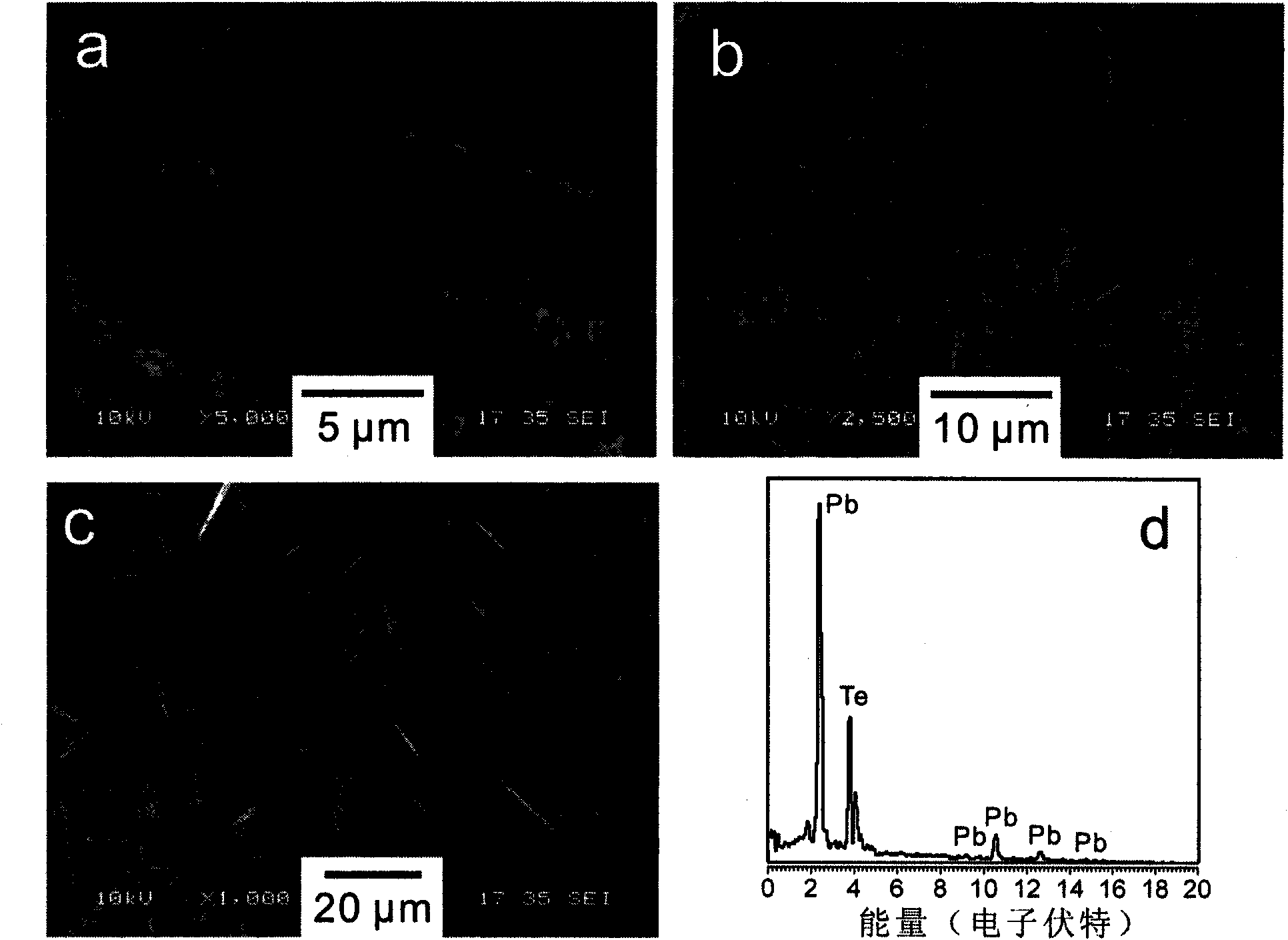 Preparation method of lead telluride nano crystal and micron crystal