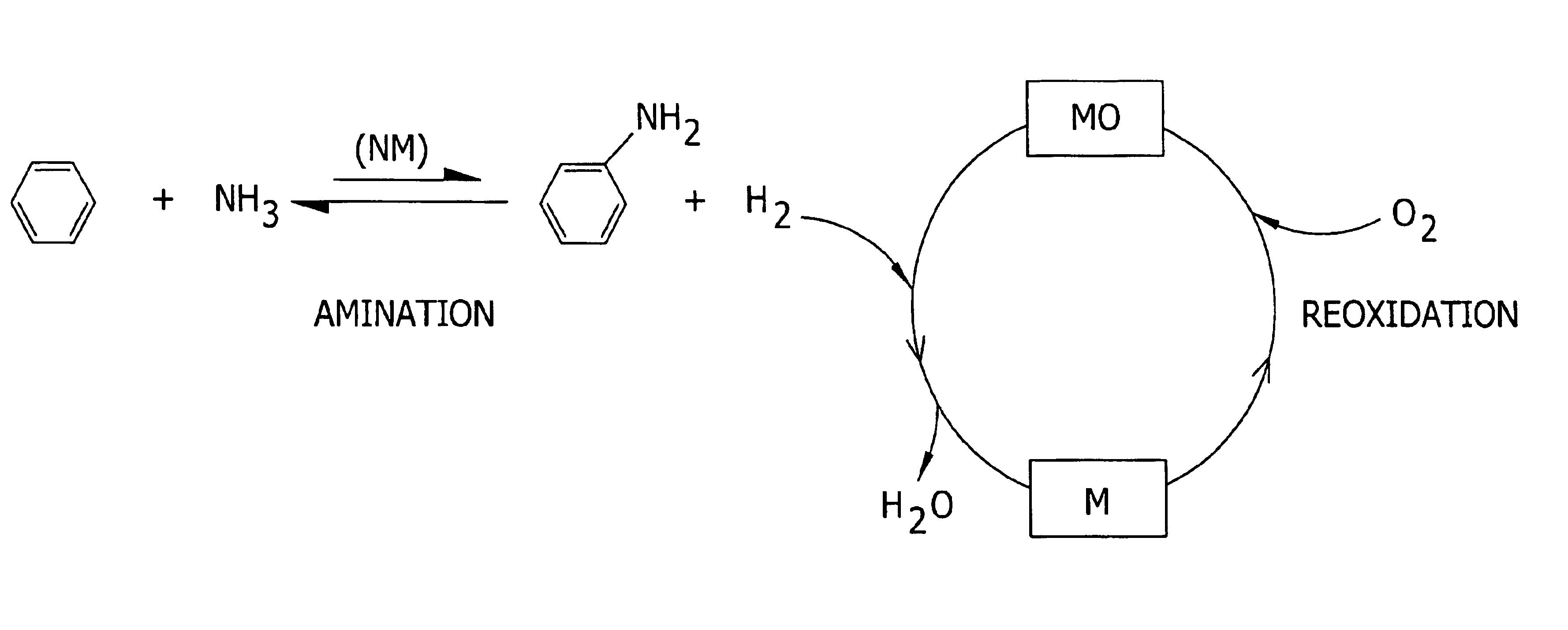 Amination of aromatic hydrocarbons and heterocyclic analogs thereof