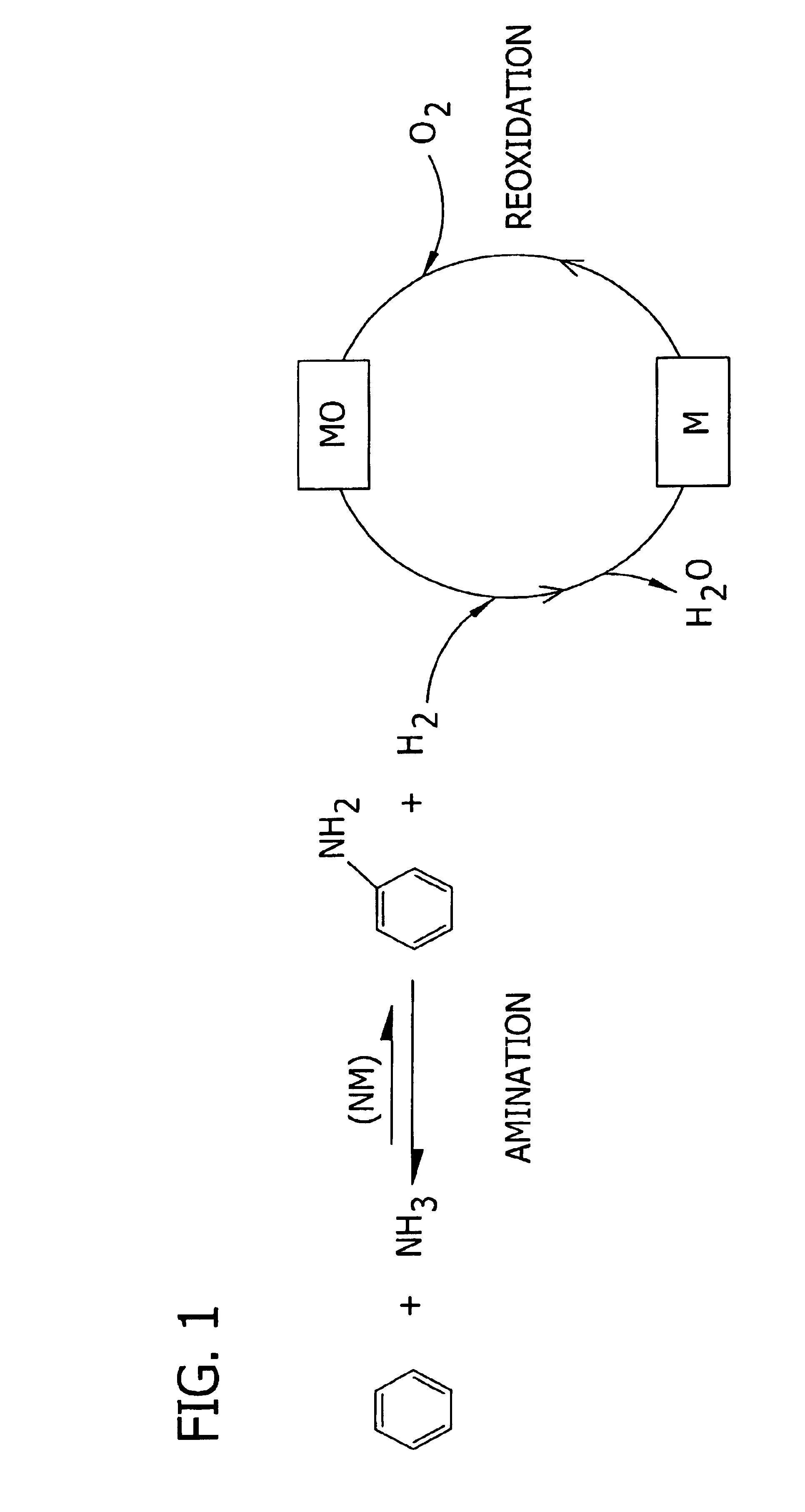 Amination of aromatic hydrocarbons and heterocyclic analogs thereof