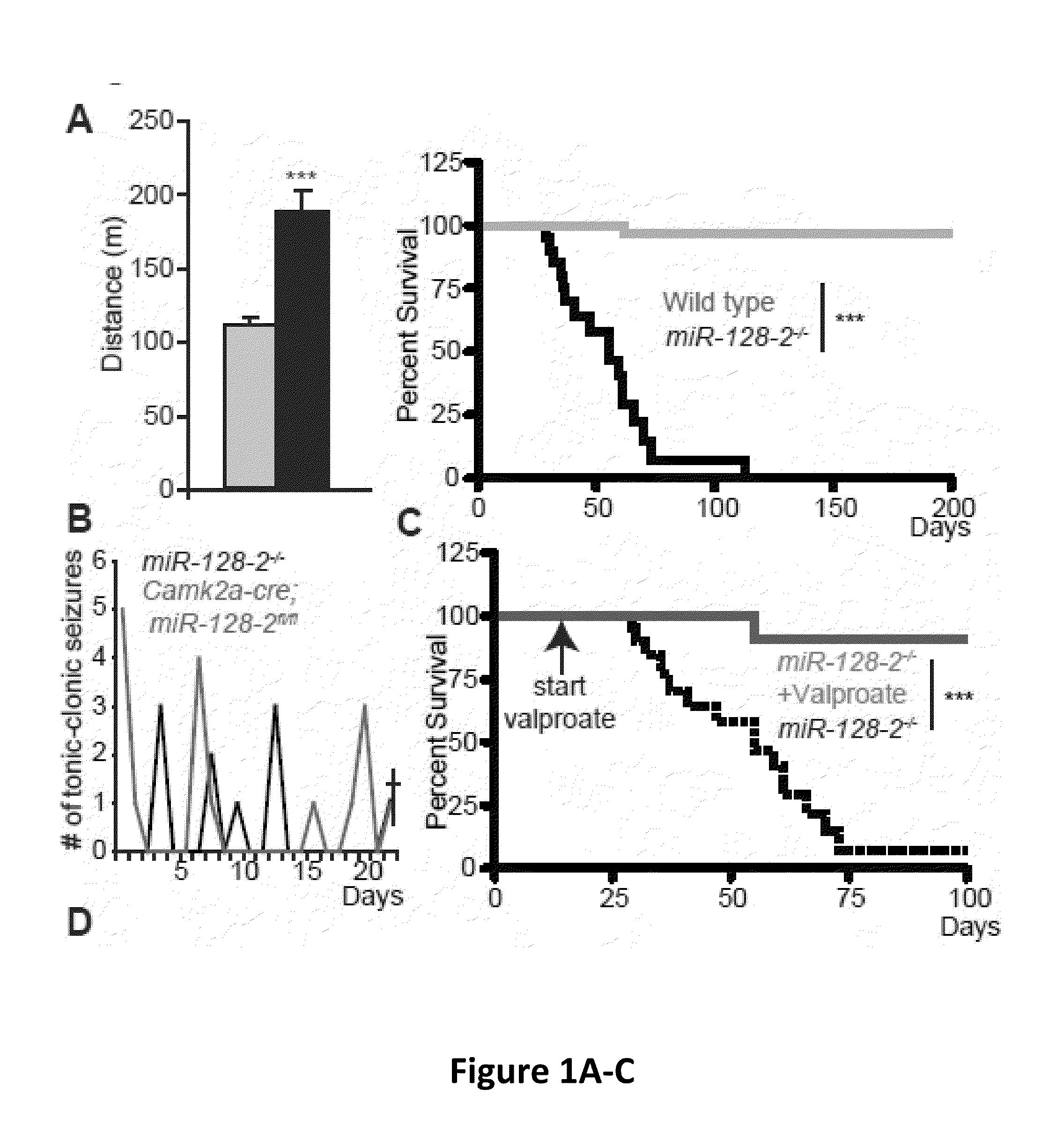 Compositions and methods for modulating neuronal excitability and motor behavior