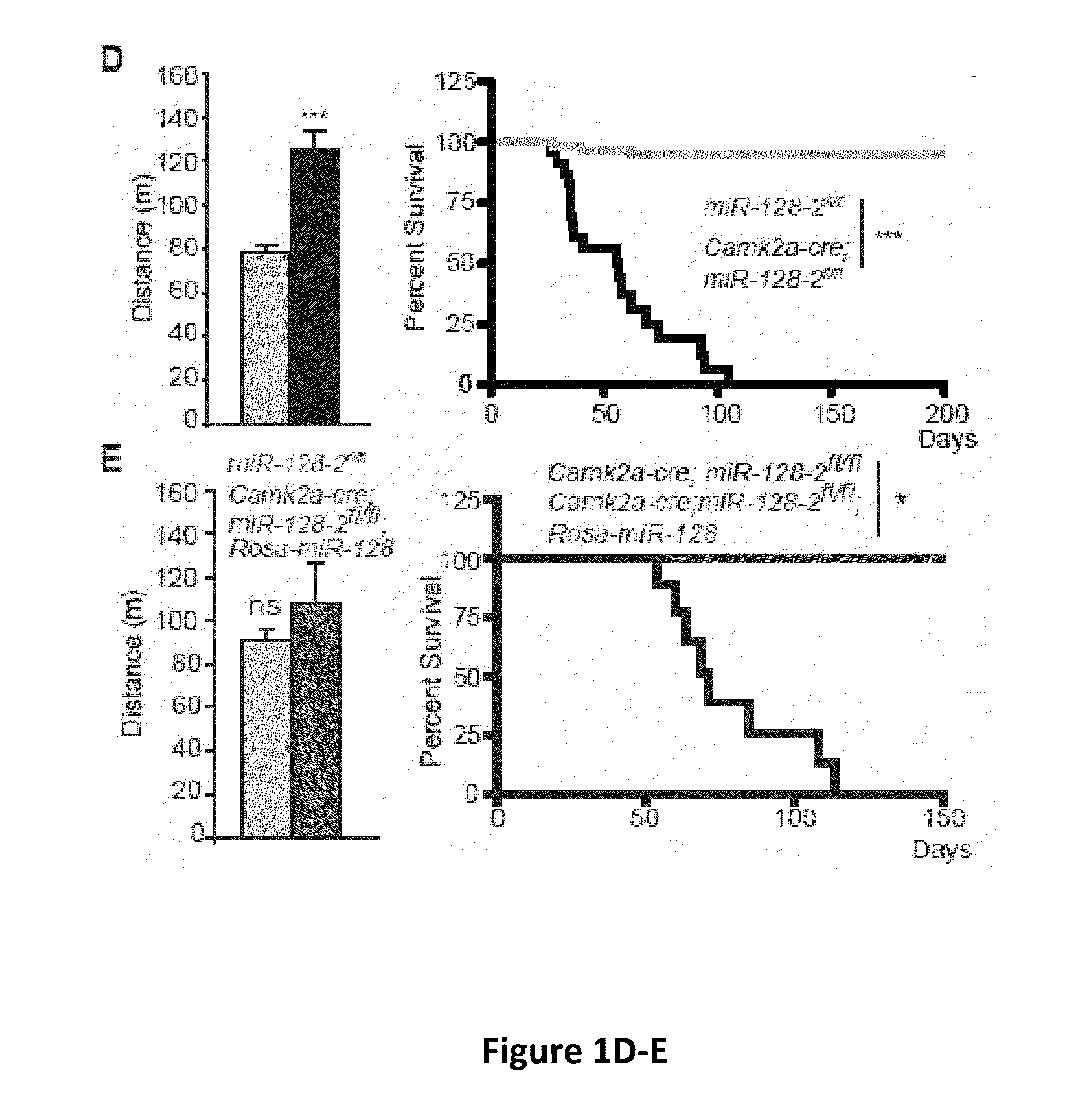 Compositions and methods for modulating neuronal excitability and motor behavior