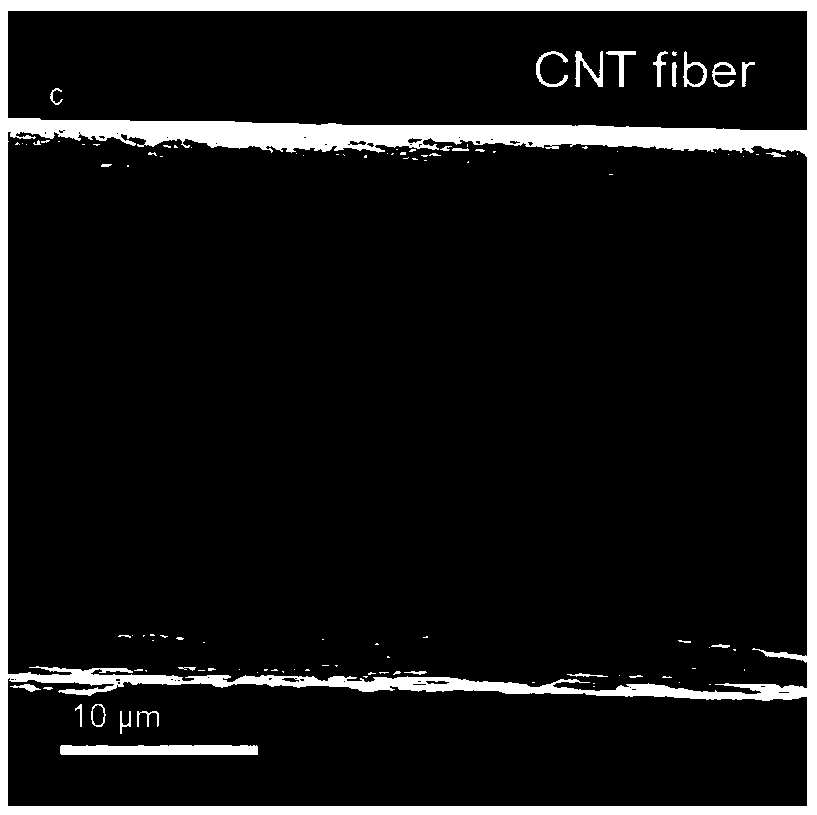 High-performance carbon nano tube yarn and preparation method thereof