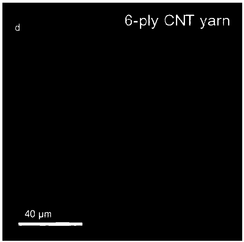 High-performance carbon nano tube yarn and preparation method thereof