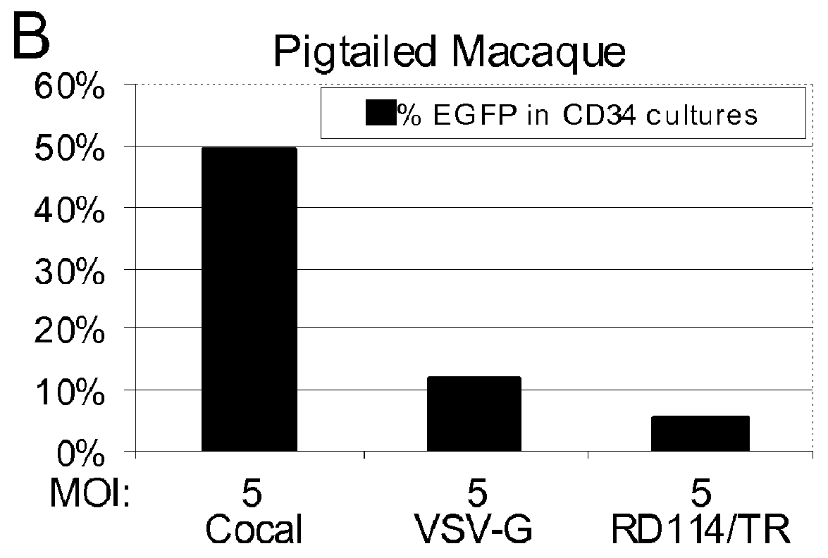 Cocal vesiculovirus envelope pseudotyped retroviral vectors