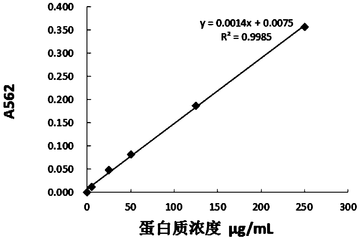 High-efficiency extraction method of macadamia nut leaf total proteins