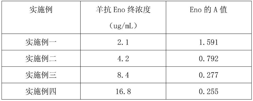 Candida albicans enolase double-antibody sandwich ELISA detection method