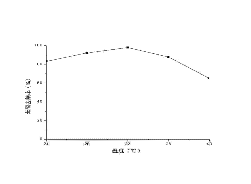 Method for degrading phenol in wastewater