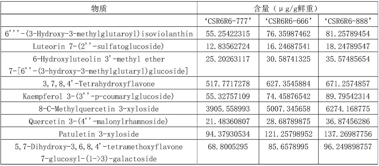 Dry strong high flavonoid cider and preparation method thereof