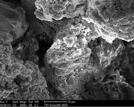 Preparation method of wear-resistant and easy-to-repair superhydrophobic coating