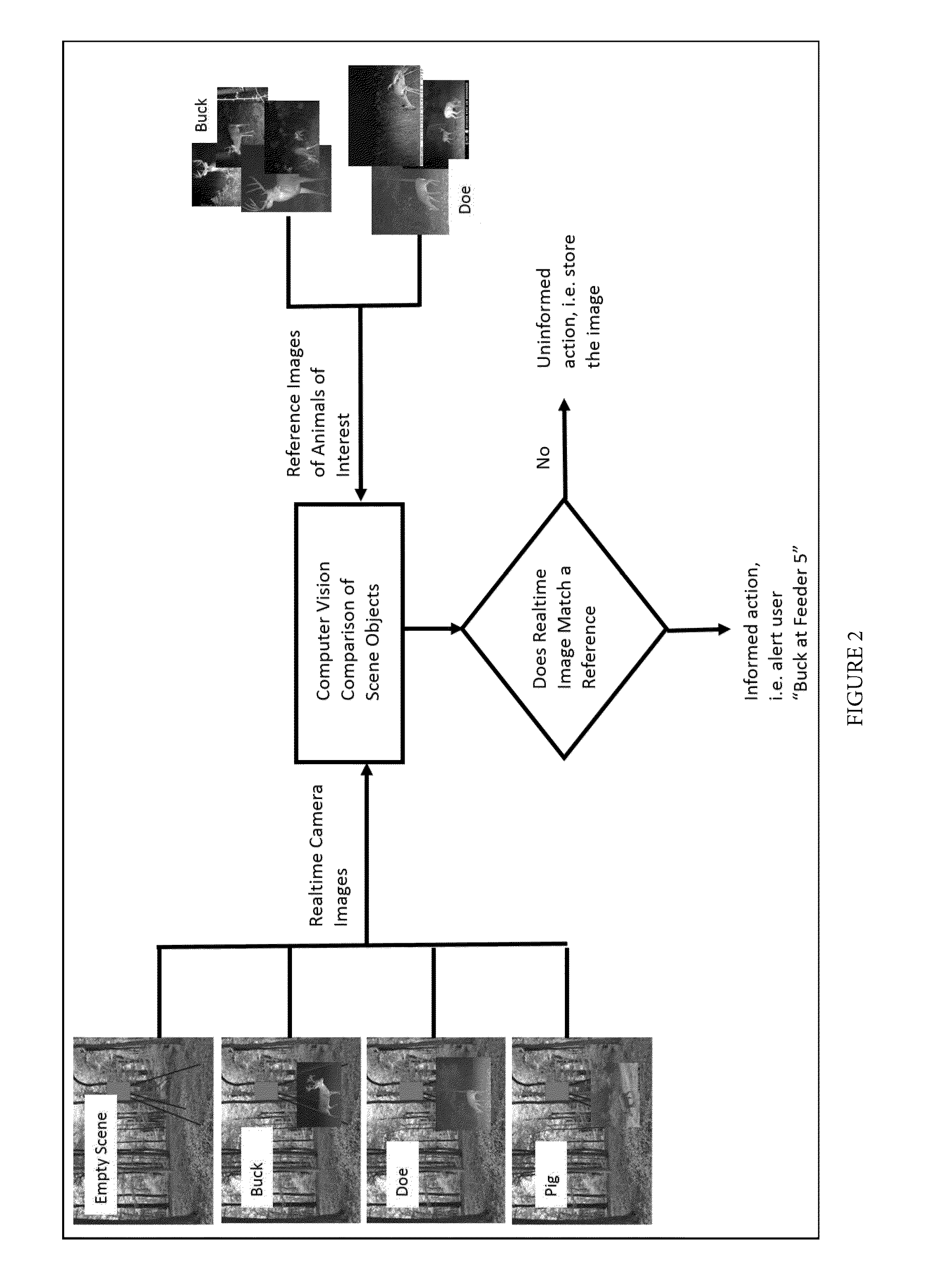 Alerting system for automatically detecting, categorizing, and locating animals using computer aided image comparisons