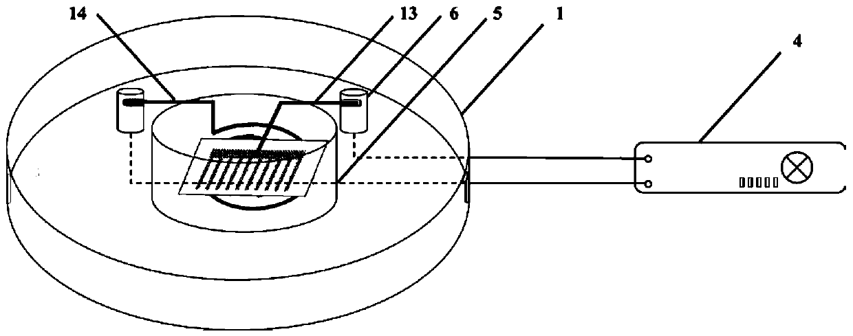 Test equipment and method of film electrode of solid oxide fuel cell