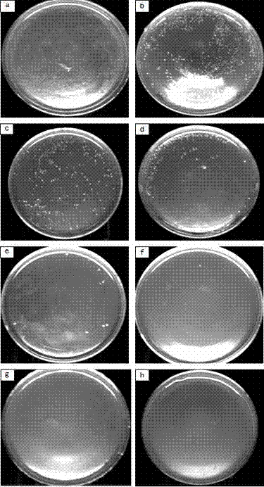 Preparation method of octodecyl trimethyl ammonium bromide antibacterial solid paraffin