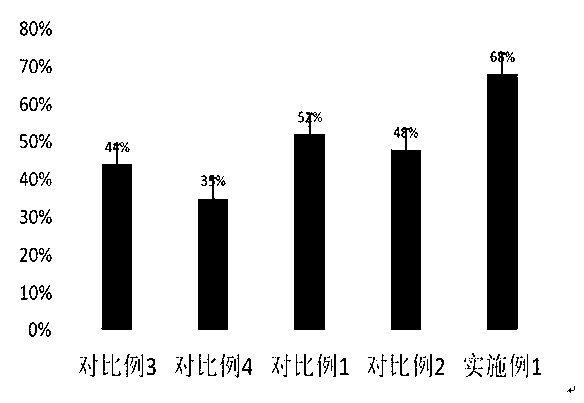 Functional raw material obtained by staged fermentation of flowers and fruits based on saccharomycetes and lactobacillus plantarum and application of functional raw material