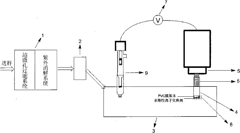 Sensor based on asymmetric polymer film as well as detection method and applications thereof