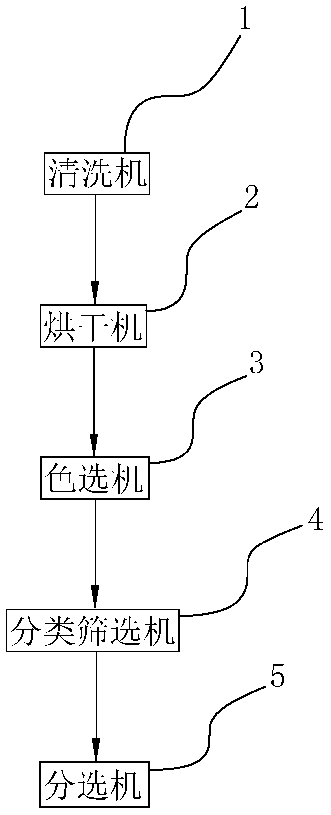 Apple cleaning and sorting system and process