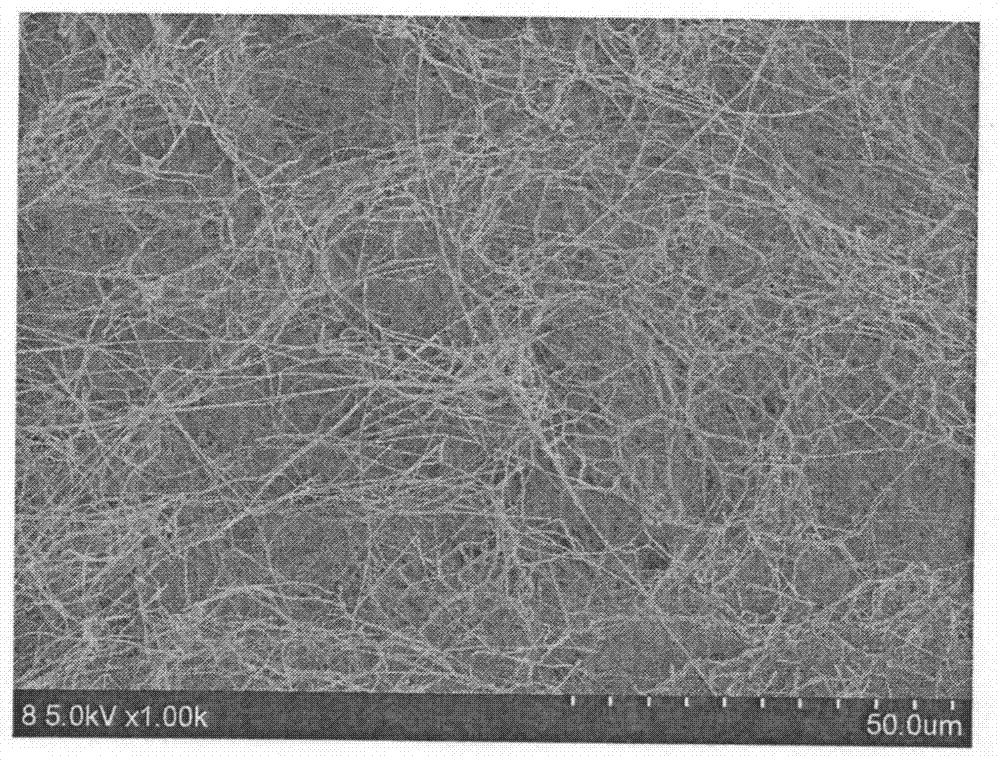 Nanofiber-foam-based continuous recovery device for floating oil on water surface and manufacturing method thereof