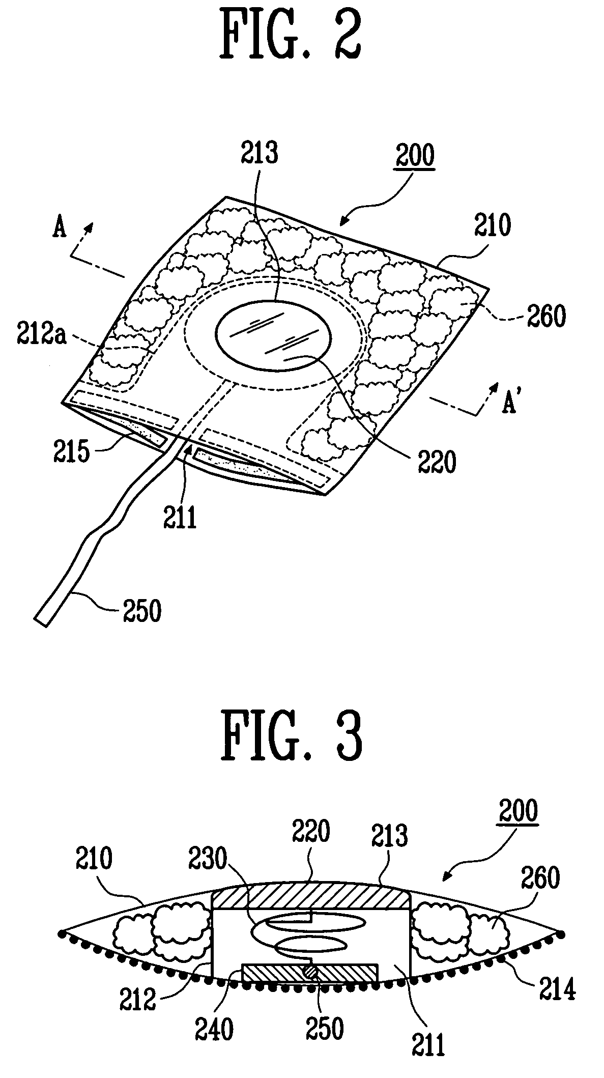 Wearable physiological signal detection module and measurement apparatus having the same