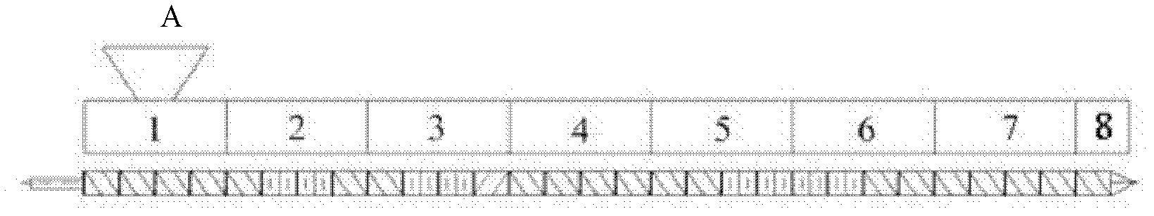 Polylactic acid and poly(3-hydroxybutyrate-co-4-hydroxybutyrate) nano modified composite