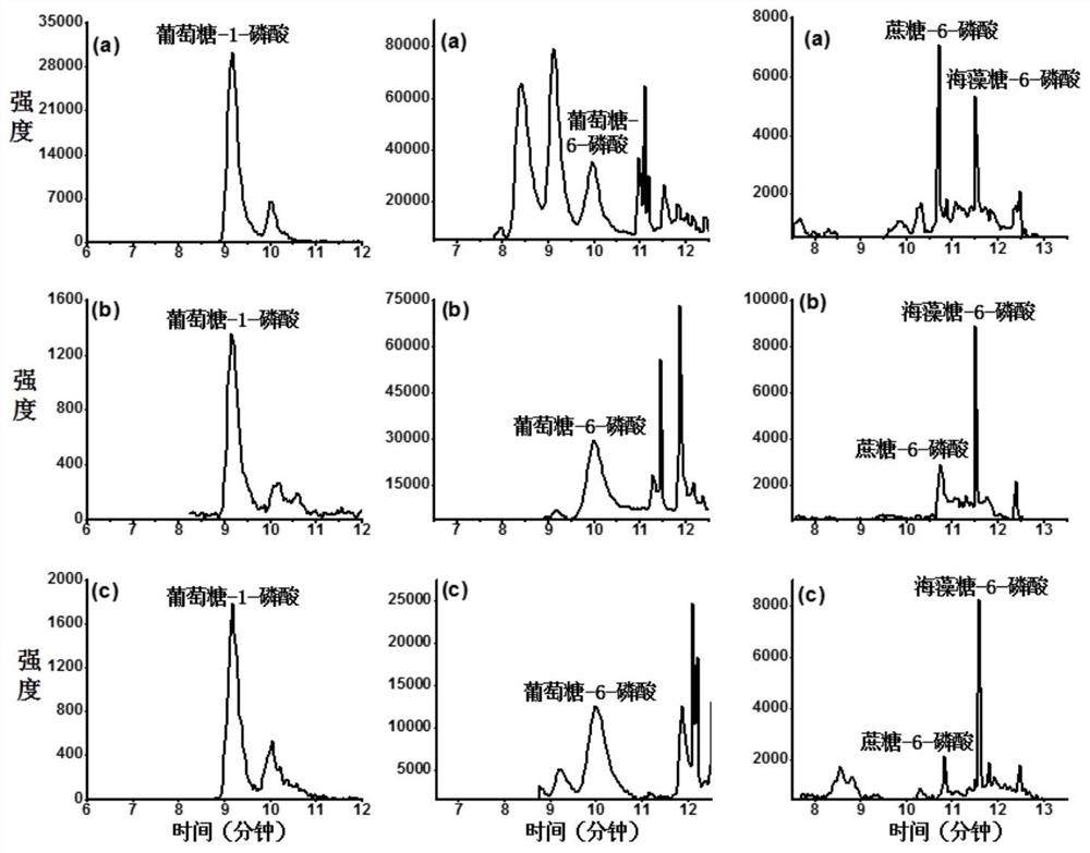 A pretreatment method and quantitative detection method of endogenous phosphate sugar compounds in plant samples