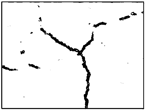 Pavement crack detection method and evaluation methods based on random forest