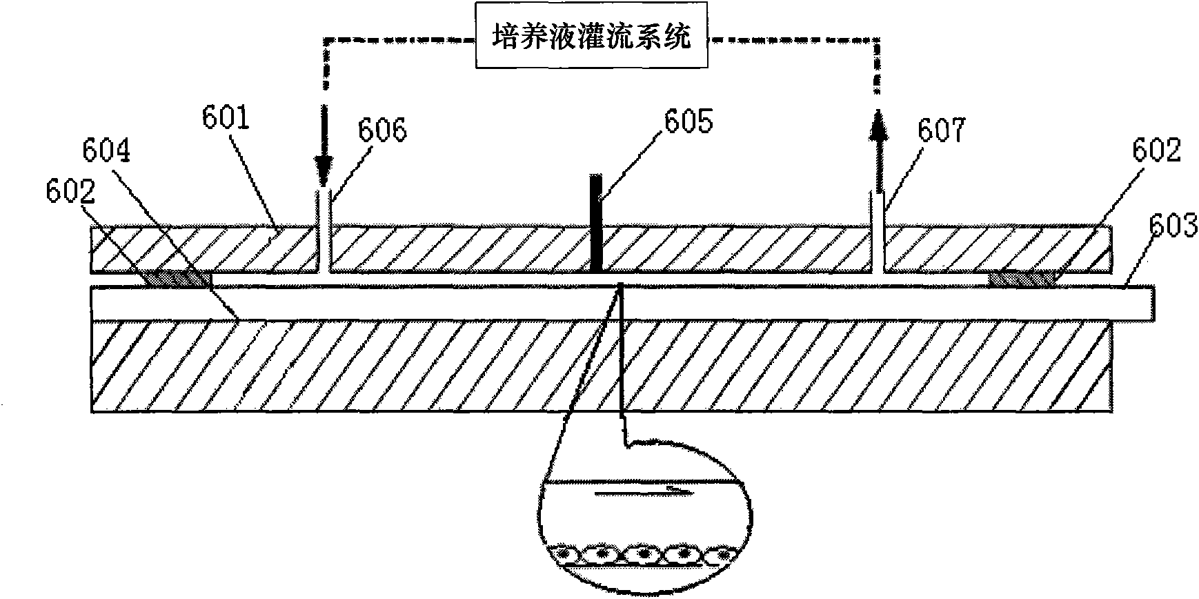 Shearing force-electricity combined stimulation cell culture device