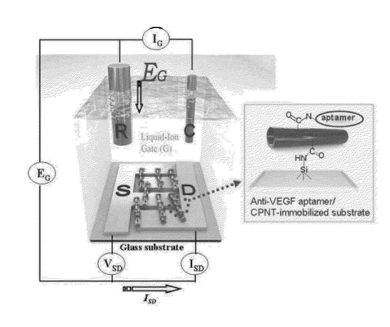 Method for fabricating novel high-performance field-effect transistor biosensor based on conductive polymer nanomaterials functionalized with anti-VEGF adapter